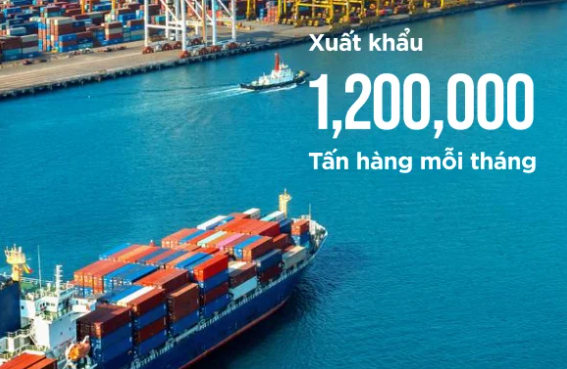 Ảnh giới thiệu