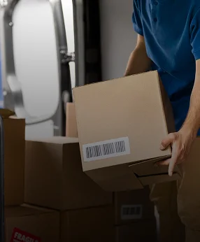 
                                                        Xử lý chứng từ, hợp đồng và các thủ tục pháp lý phức tạp.
                                                    